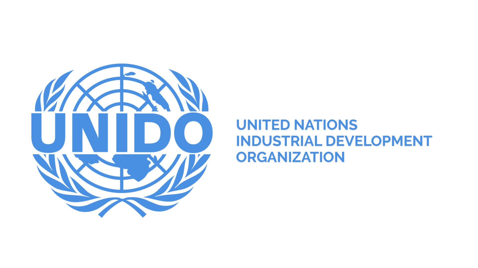 Стандарты оон. United Nations Industrial Development Organization. Стандарт ЮНИДО. Бизнес-план по стандартам Unido. ЮНИДО проекты.